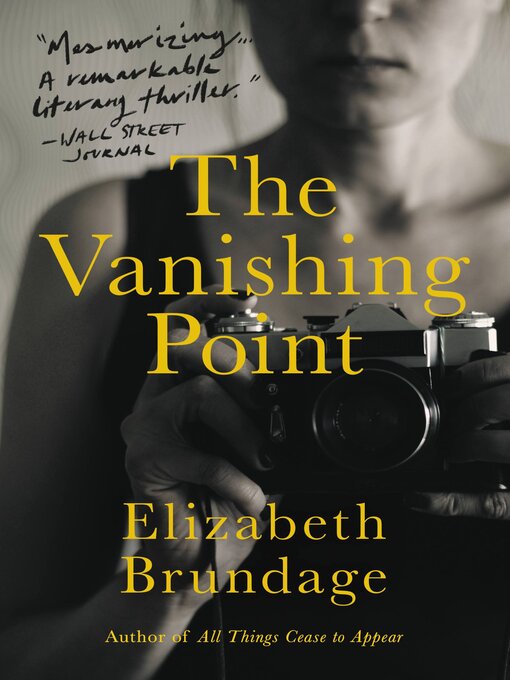 Title details for The Vanishing Point by Elizabeth Brundage - Available
